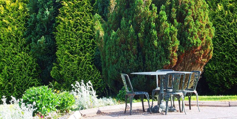 O'Sheas Ceol Na Habhann B&B Kenmare Exterior foto